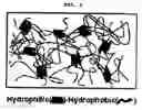 Fig. 02 - Sulphonated multiblock copolymer and electrolyte membrane using the same