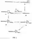 Fig. 02 - Oxazole and thiazole combinatorial libraries