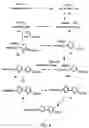 Fig. 04 - Oxazole and thiazole combinatorial libraries