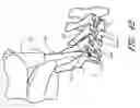 Fig. 40 - Surgical file system with a visualization instrument