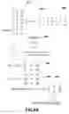 Fig. 06 - Method and structure for cache aware transposition via rectangular subsections