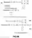 Fig. 07 - Method and structure for cache aware transposition via rectangular subsections