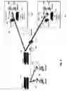 Fig. 09 - Network appliance for vulnerability assessment auditing over multiple networks