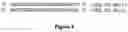 Fig. 06 - Bentgrass event ASR-368 and compositions and methods for detection thereof