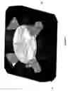 Fig. 08 - Diamagnetic levitation system