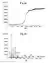 Fig. 04 - Chromatography columns
