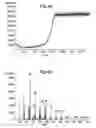 Fig. 05 - Chromatography columns