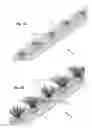 Fig. 02 - Cylindrical irradiance-mapping lens and its applications to LED shelf-lighting