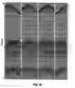 Fig. 08 - Method for continuous sweepting and separtion of multiple seismic vibrators