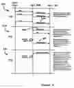Fig. 07 - Method for processing traffic data in a wireless communications system