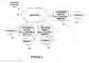 Fig. 02 - Limiting unauthorized sources in a multicast distribution tree