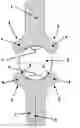 Fig. 01 - profiled guiding element
