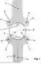 Fig. 02 - profiled guiding element