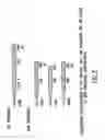 Fig. 04 - Method of inducing an enhanced immune response against hiv