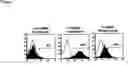Fig. 02 - Immunomodulation using altered dendritic cells