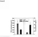 Fig. 09 - Immunomodulation using altered dendritic cells