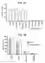Fig. 06 - Immunoselective targeting agents and methods of use thereof