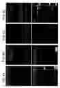 Fig. 07 - Immunoselective targeting agents and methods of use thereof