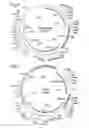 Fig. 04 - Vaccine