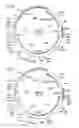 Fig. 05 - Vaccine