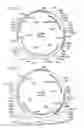 Fig. 06 - Vaccine