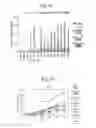 Fig. 10 - Vaccine