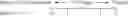 Fig. 02 - Novel method of deodorization for fat odor and composition obtained by the same