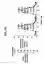 Fig. 28 - Methods for treating circadian rhythm phase disturbances