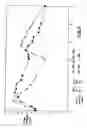 Fig. 06 - Controlled release oxycodone compositions