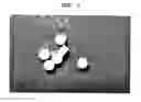Fig. 02 - Bone-filling composition for stimulating bone-forming and bone-consolidation comprising calcium sulfate and viscous biopolymers