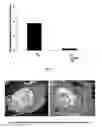 Fig. 02 - Polymer compositions for administration to animals
