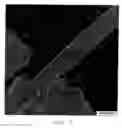 Fig. 08 - Selective placement of carbon nanotubes on oxide surfaces