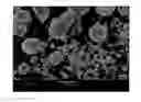 Fig. 01 - Soft magnetic composite powder comprising an inorganic insulating coating, production method of the same, and production method of soft magnetic compact