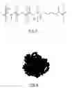 Fig. 07 - Stealthy polymeric biodegradable nanospheres and uses thereof