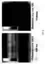 Fig. 09 - Stealthy polymeric biodegradable nanospheres and uses thereof