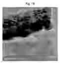 Fig. 09 - Carbon-metal composite material and process of preparing the same