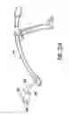 Fig. 40 - Illumination system for dentistry applications