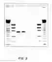 Fig. 06 - Methods of constructing libraries of genetic packages that collectively display the members of a diverse family of peptides, polypeptides or proteins