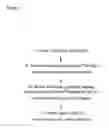 Fig. 02 - Protocol for optimizing purification of enzymatically active human telomerase
