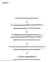 Fig. 03 - Protocol for optimizing purification of enzymatically active human telomerase