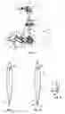 Fig. 02 - Outboard drive for boats