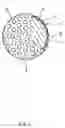 Fig. 02 - Golf ball and golf ball manufacturing method