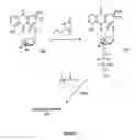 Fig. 07 - Transcobalamin receptor binding conjugates useful for treating abnormal cellular proliferation