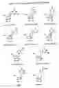 Fig. 02 - Methods and compositions for treating flaviviruses and pestiviruses