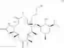Fig. 28 - 6-O-substituted erythromycin derivatives having improved gastrointestinal tolerance