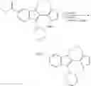 Fig. 484 - Inhibitors of HCV replication