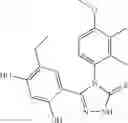 Fig. 197 - Triazole compounds that modulate Hsp90 activity