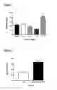 Fig. 02 - Methods and compositions for regulating memory consolidation