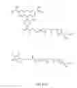 Fig. 05 - Compounds and processes for single-pot attachment of a label to siRNA