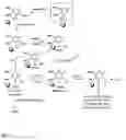 Fig. 02 - Practical, cost-effective synthesis of ubiquinones